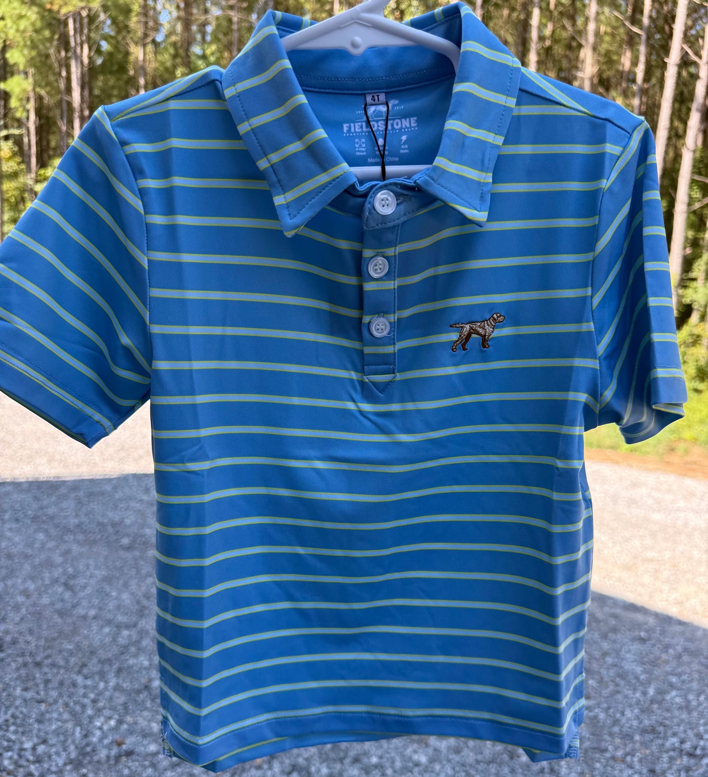 Blue/Green Boys Horizon Polo