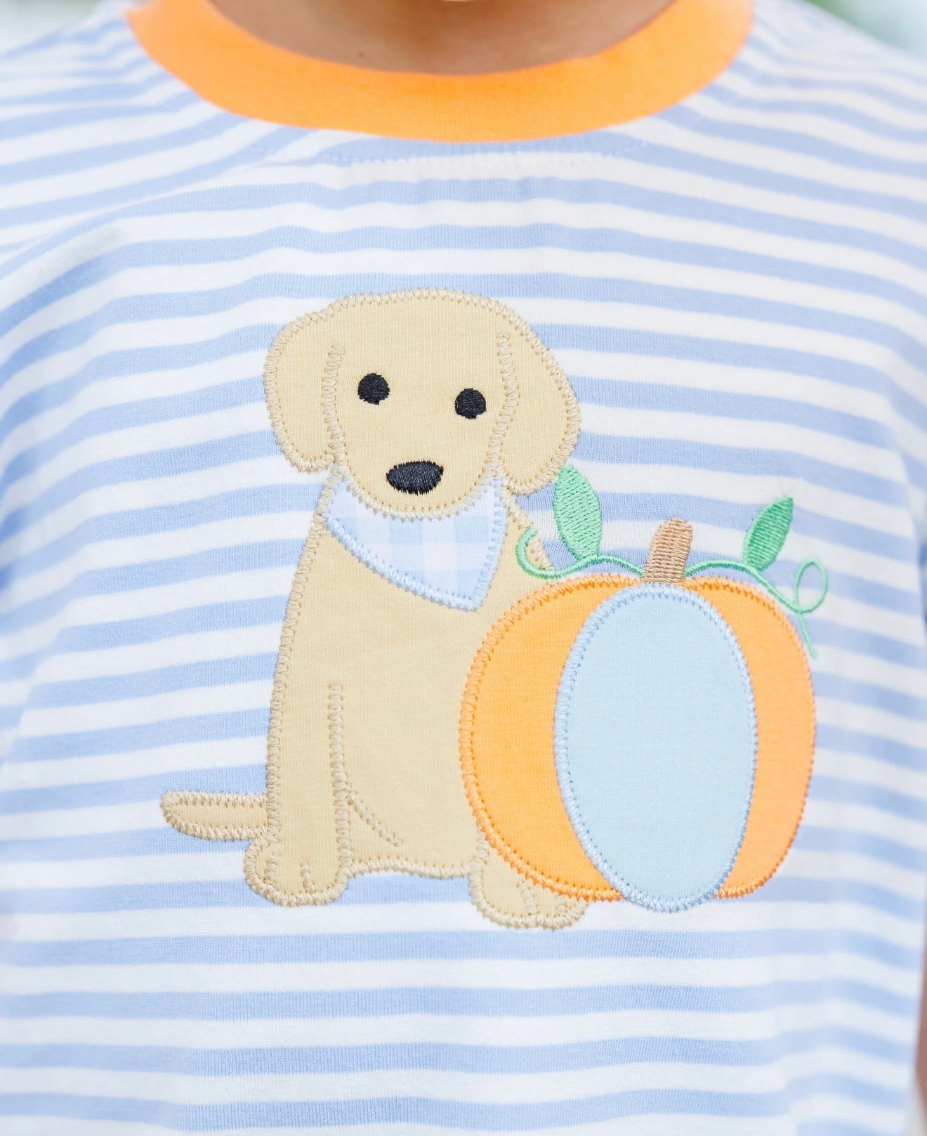 Pumpkins & Paws Boys Short Set