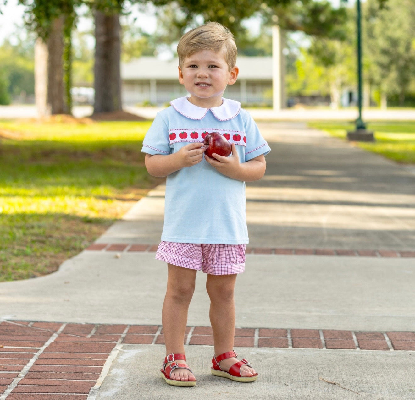 Apple Ribbon Banded Boys Short Set