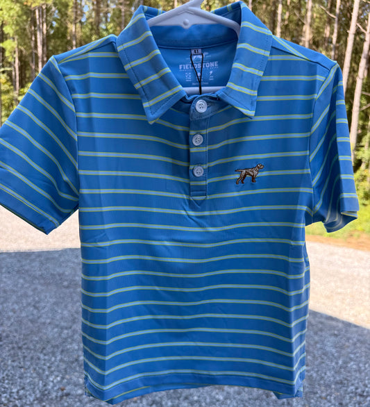 Blue/Green Boys Horizon Polo