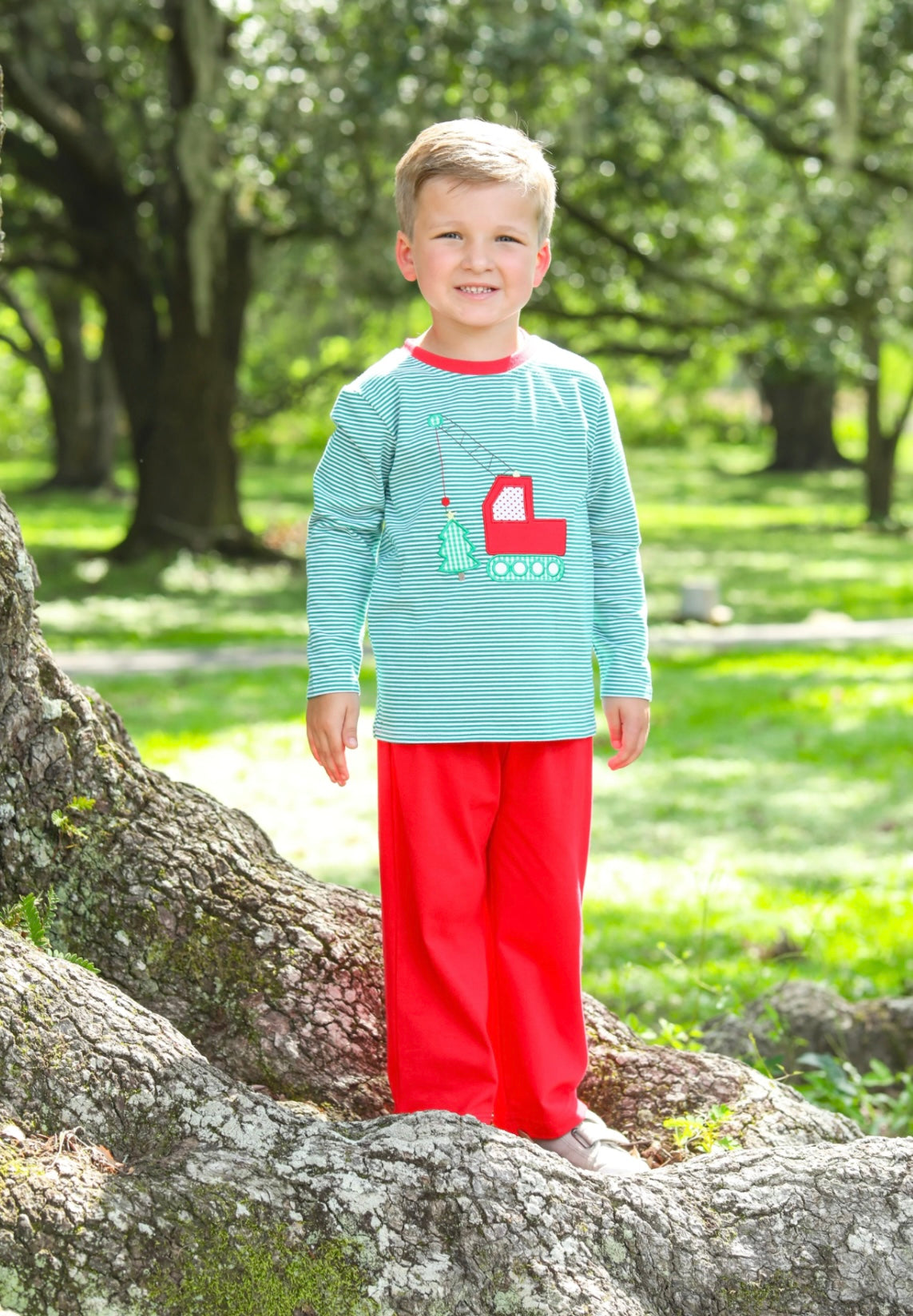 Christmas Crane Boys Pants Set