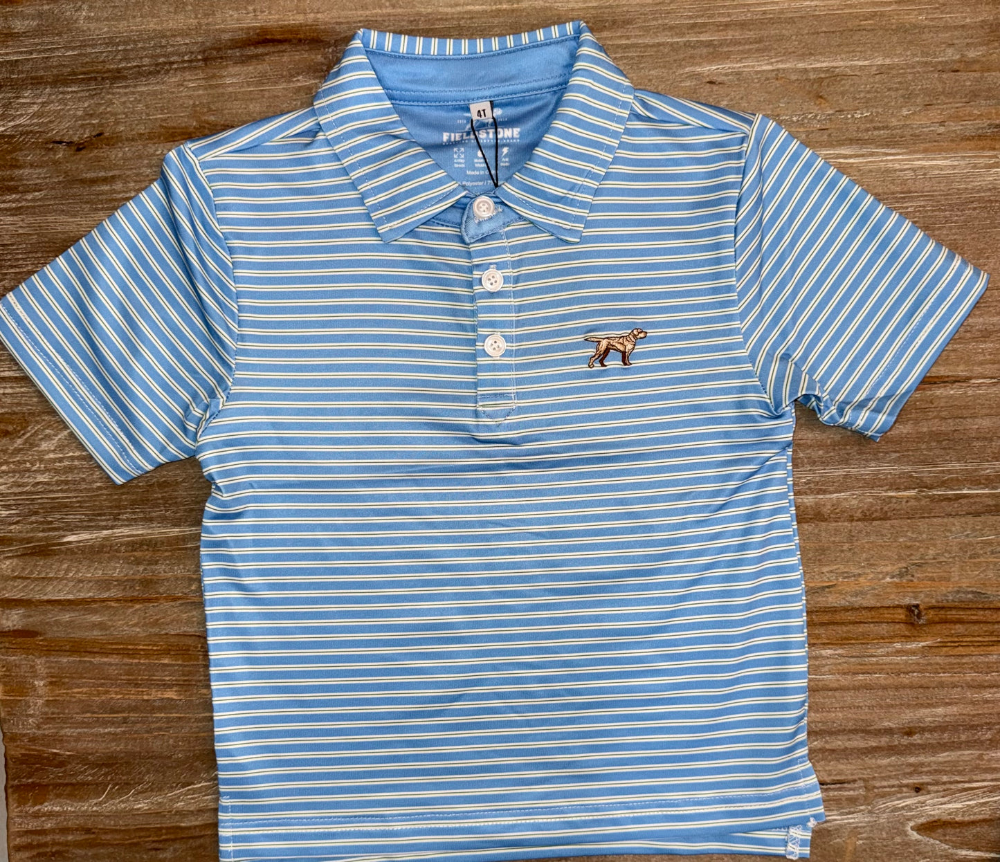 Blue/Green Boys Carlisle Polo