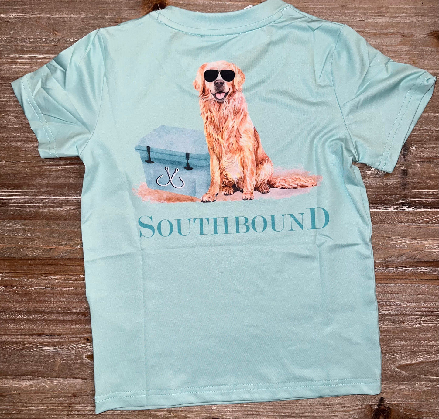 Golden Retriever/Cooler Mint Performance Boys Tee