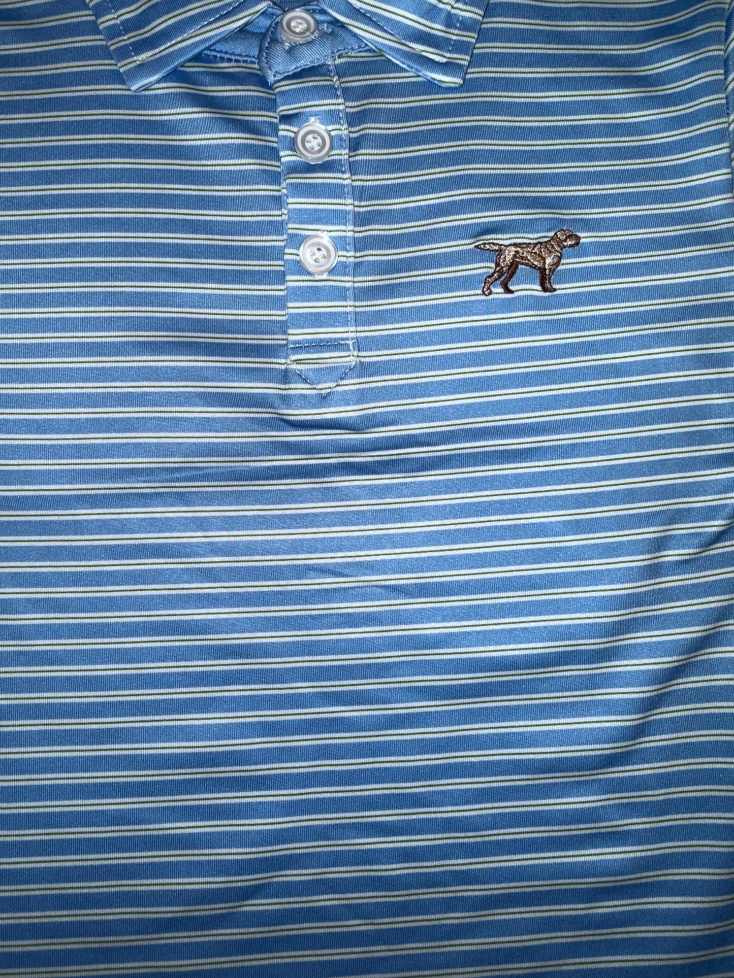 Blue/Green Boys Carlisle Polo