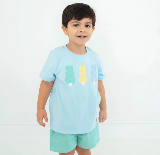 Blue Bunny Boys Short Set