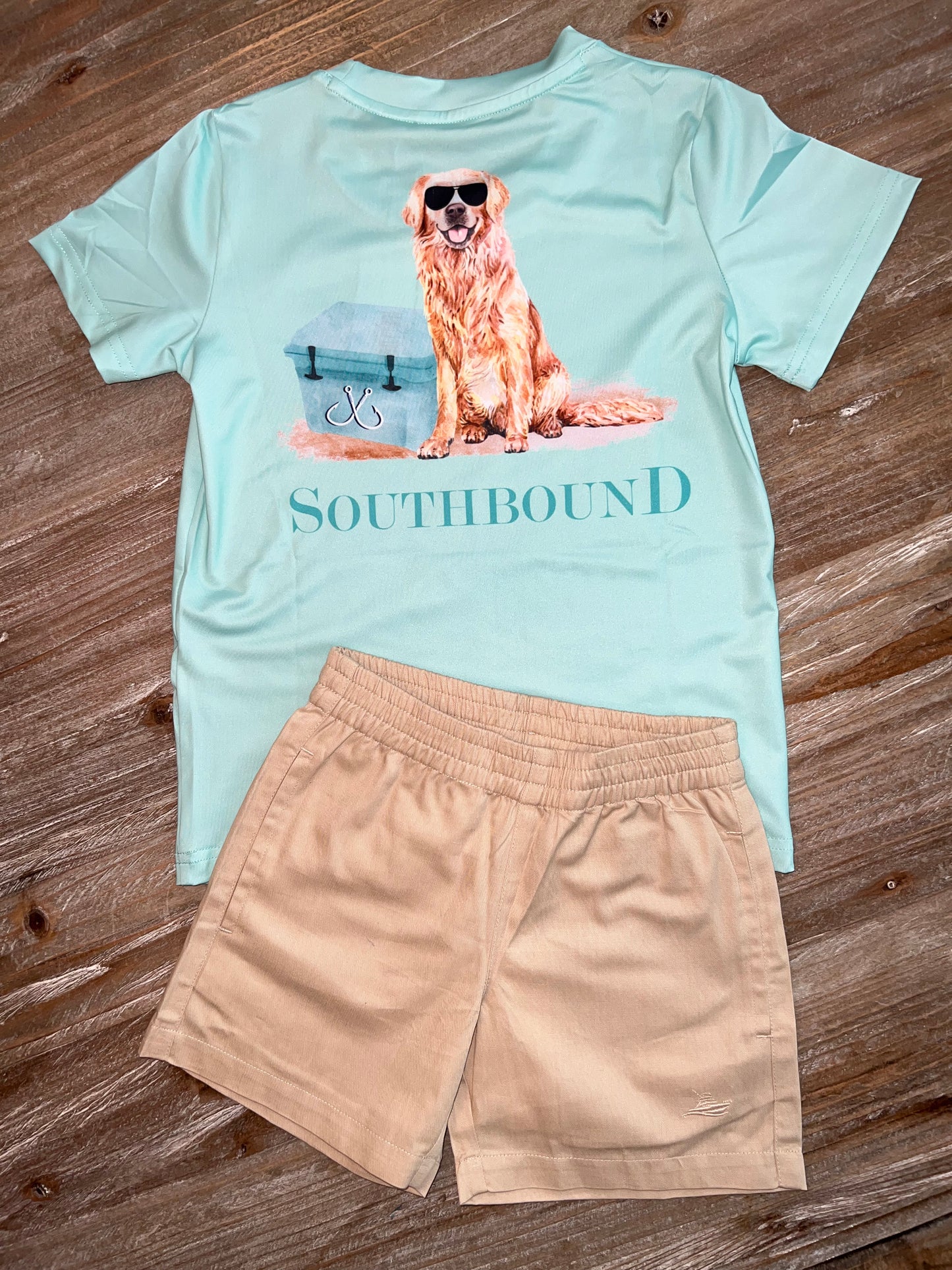 Golden Retriever/Cooler Mint Performance Boys Tee