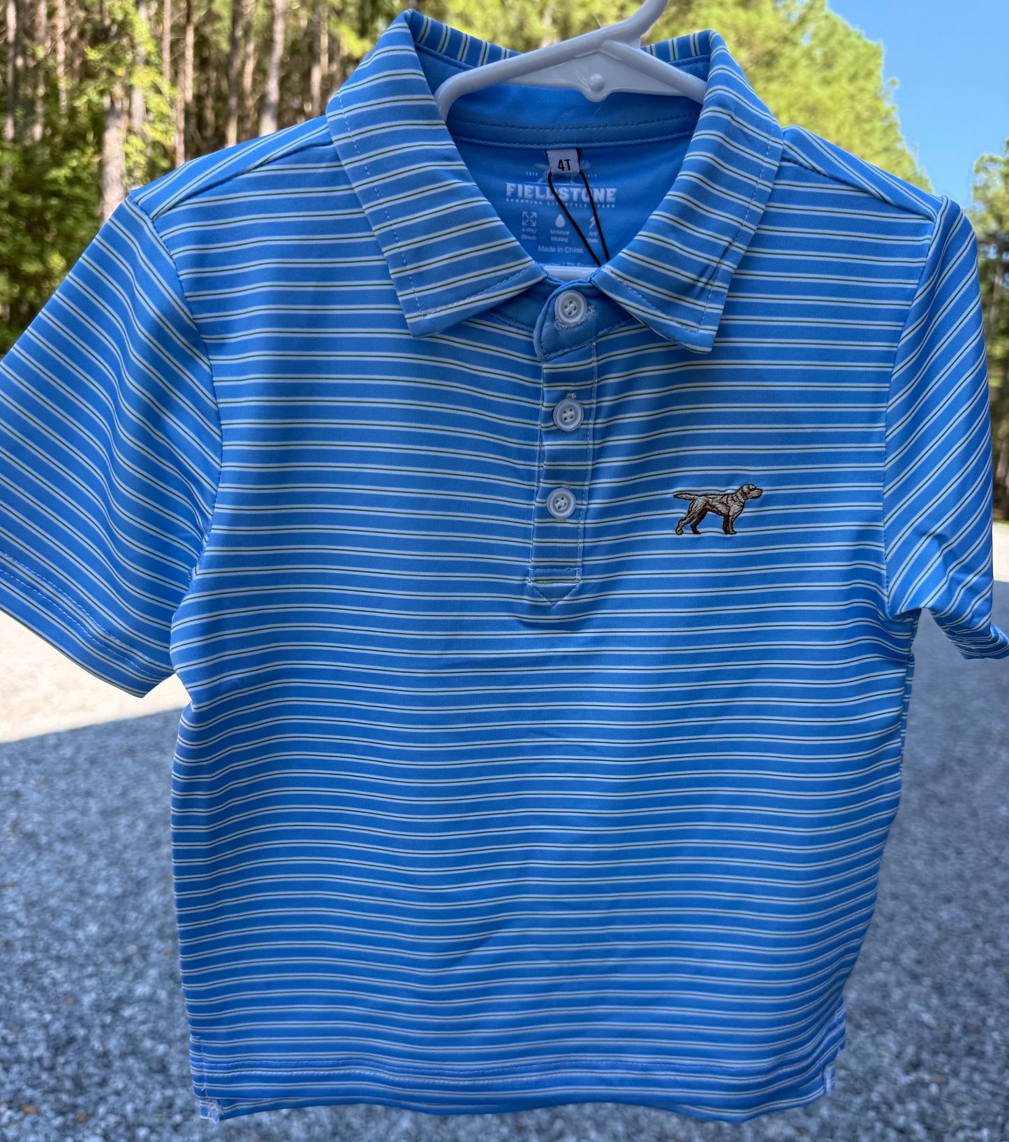 Blue/Green Boys Carlisle Polo