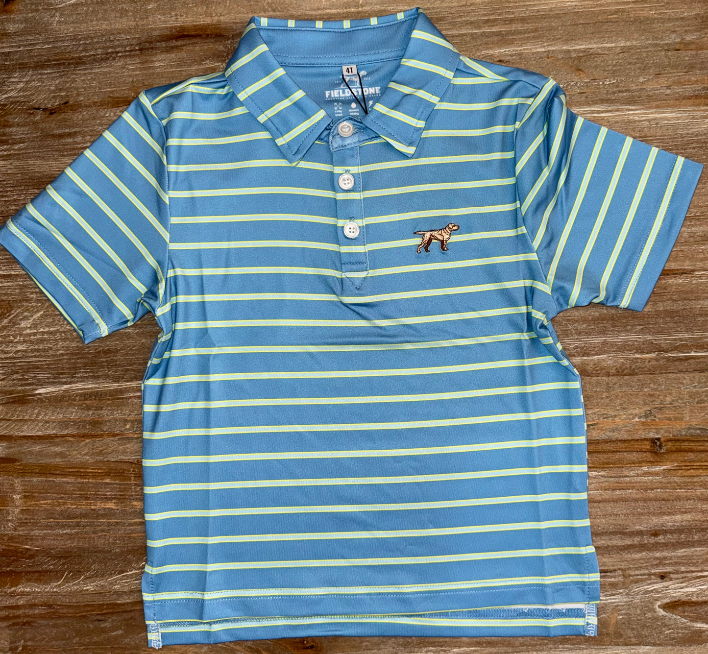 Blue/Green Boys Horizon Polo
