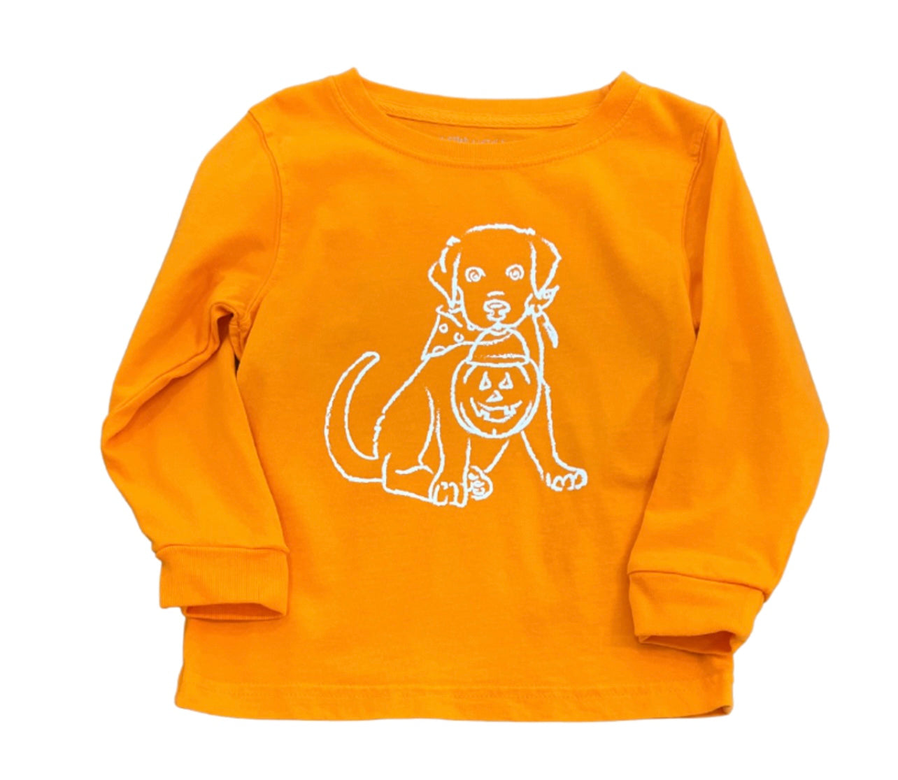 Mustard & Ketchup Kids LS Orange Pumpkin/Puppy Boys Tee